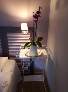 B&B / Chambres d'hotes Les Hotes du Ranquet : photos des chambres