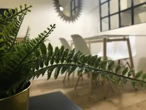 Loft Nature en Bernabé Soriano - Jaén