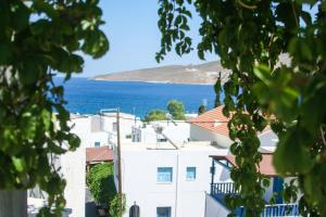 George Apartments Tílos Greece