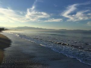 AMAZING BEACH FRONT - ACQUA NUEVO VALLARTA - MX