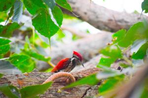 Hotel Birds View