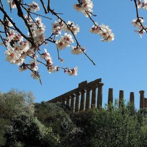 B&B Giunone, Bed & Breakfast - Agrigento