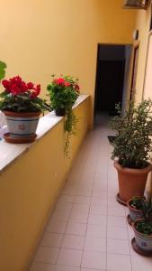 Homestay La Dolce Camera
