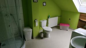 Salamandra Apartament