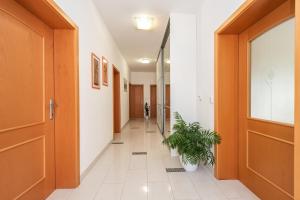 Centrally located apartment for 16 