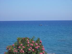 Antonios Apartments Stegna Rhodes Greece