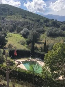 Oliera 2 - Poggio-dʼOletta