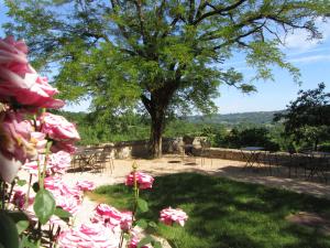 Mas Del Lum photo 6