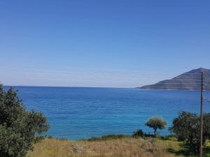 Light blue house 3 Apartments Lakonia Greece