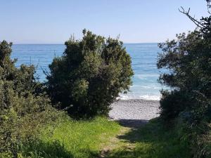 Light blue house 3 Apartments Lakonia Greece