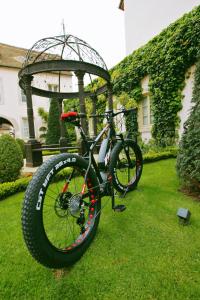 Hotels Hotel Le Cep & Spa : photos des chambres