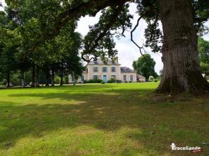 B&B / Chambres d'hotes Chateau Du Pin - Les Collectionneurs : photos des chambres