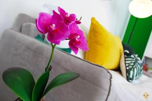 Sa Domu de Ajaja Apartments img69