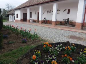 Apartamento Tulipán Vendégház Tiszabábolna Hungría