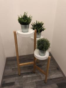 Tembo House - Pantano