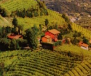 Agriturismo la Preara