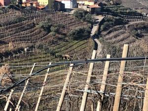 Agriturismo la Preara