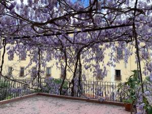 Appartamento Il Glicine