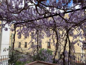 Appartamento Il Glicine