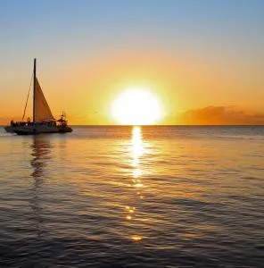 mame trees - Gibson Bight