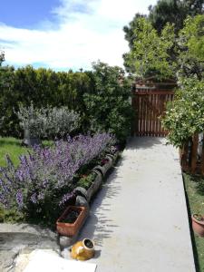 Domek Abravacanza Fuscaldo Włochy