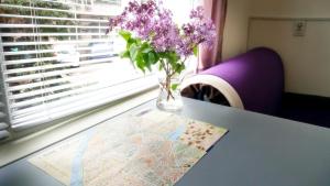 Malavi top center studio Ruse! Comfort&clean!