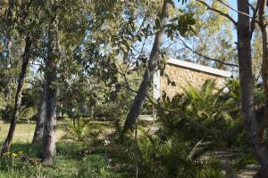 Casa Su Catreathu img3