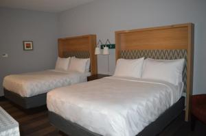 Standard Queen Room with Two Queen Beds room in Holiday Inn Odessa an IHG Hotel