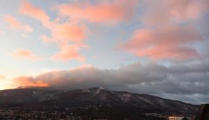 Best Choice Apartment