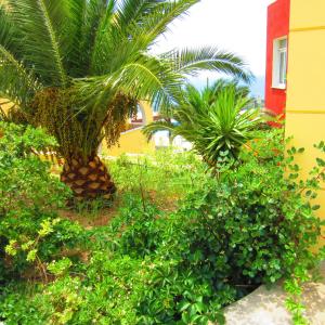 Saint Catherine Hotel Samos Greece