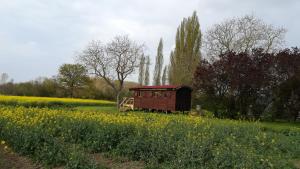 B&B / Chambres d'hotes La Ferme de l'isle et sa Roulotte : photos des chambres