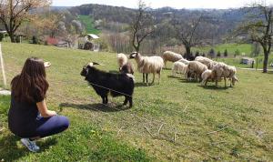 Beautiful house surrounded by pure nature
