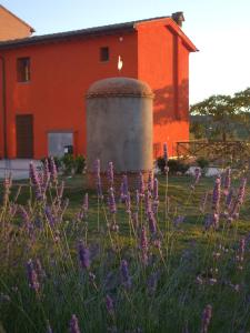 Agriturismo Borgo Stella