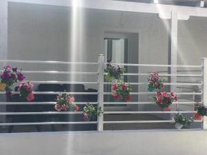 JANAS Country House img8