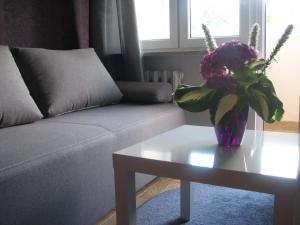 Apartament Orchidea