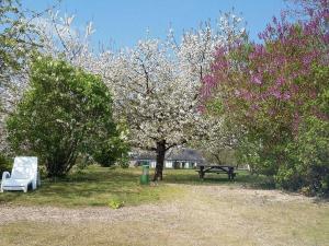 Hotels Logis Hotel & Restaurant Au Clos Paille Charme & Caractere : photos des chambres