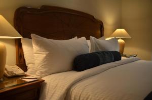 The Lalit Traveller- Airport hotel