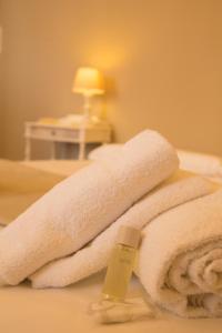 Amalia Vatican House