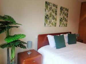 Lemon Tree Apartment