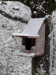 Appartements Studio les bleuets : photos des chambres