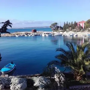 Apartments Dvorski - Шимуни