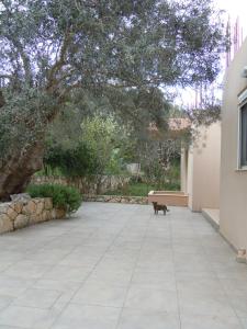 Majia 2 bedroom apartment Rethymno Greece