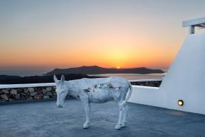 Lilium Santorini Villa Santorini Greece