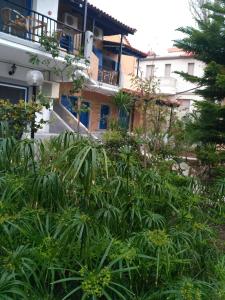 9 Musses Hotel Apartments Lesvos Greece