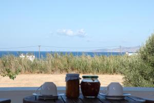 Bluefox Apartments Naxos Greece