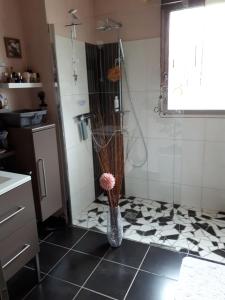 Chambre chez habitant photo 15