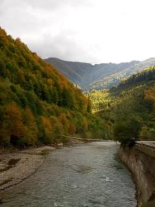 Закарпатский сруб