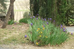 B&B / Chambres d'hotes LES BRUYERES chambre d'hote de charme Calme assure : photos des chambres