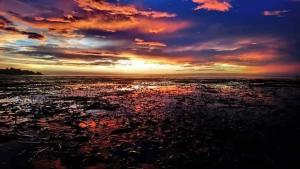 Bungalow on the Beach. Great Sunset. relaxing place