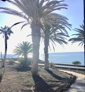 Bungalow Alma Playa Roca